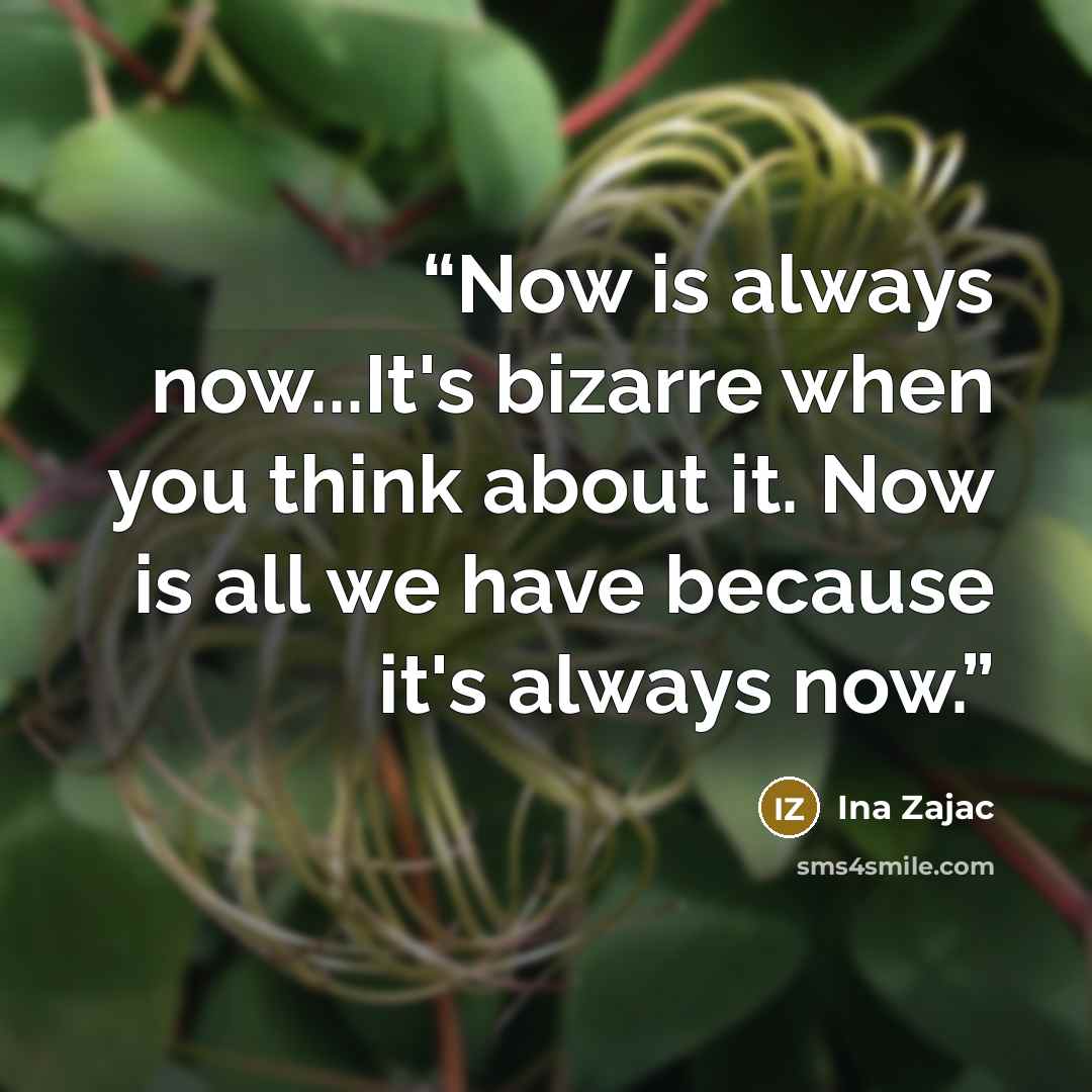 “Now is always now...It's bizarre when you think about it. Now is all we have because it's always now.” quote by Ina Zajac
