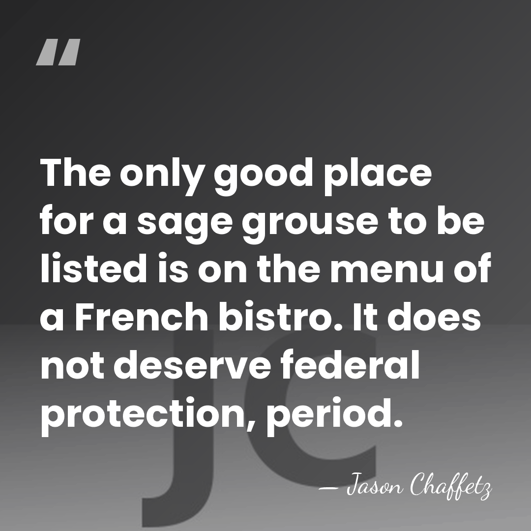 The only good place for a sage grouse to be listed is&hellip; - Jason Chaffetz