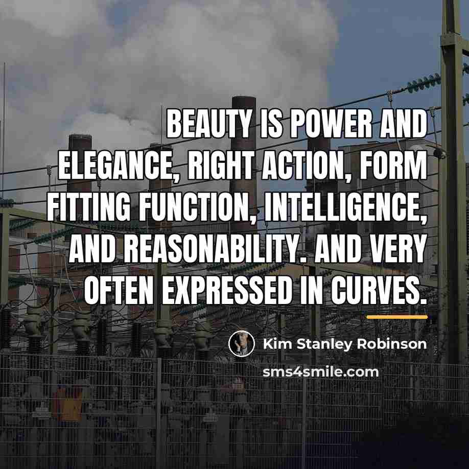 “Beauty is power and elegance, right action, form fitting function,…” quote by Kim Stanley Robinson
