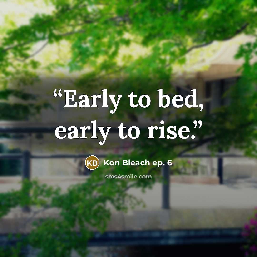 “Early to bed, early to rise.” quote by Kon Bleach ep. 6