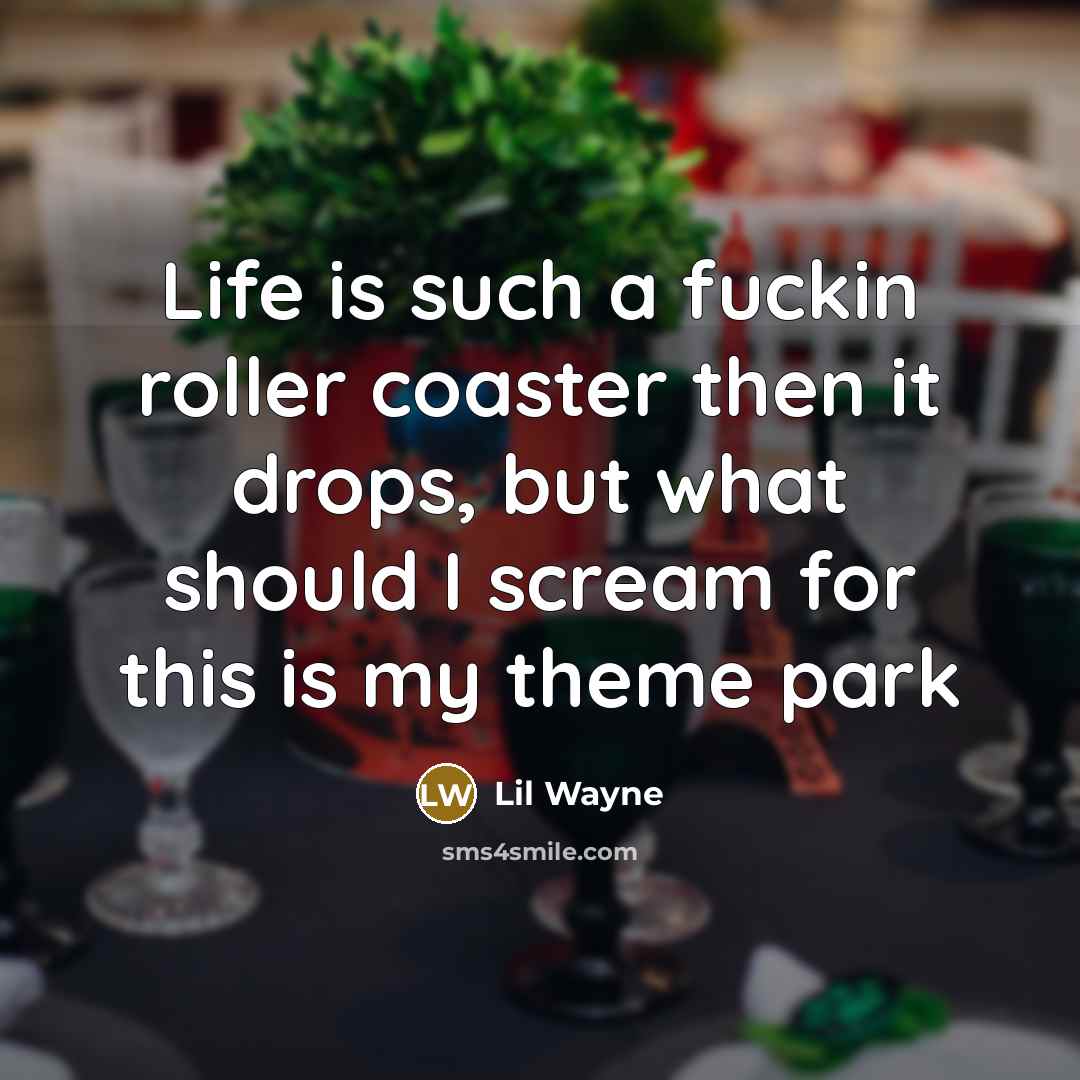 “Life is such a fuckin roller coaster then it drops,…” quote by Lil Wayne