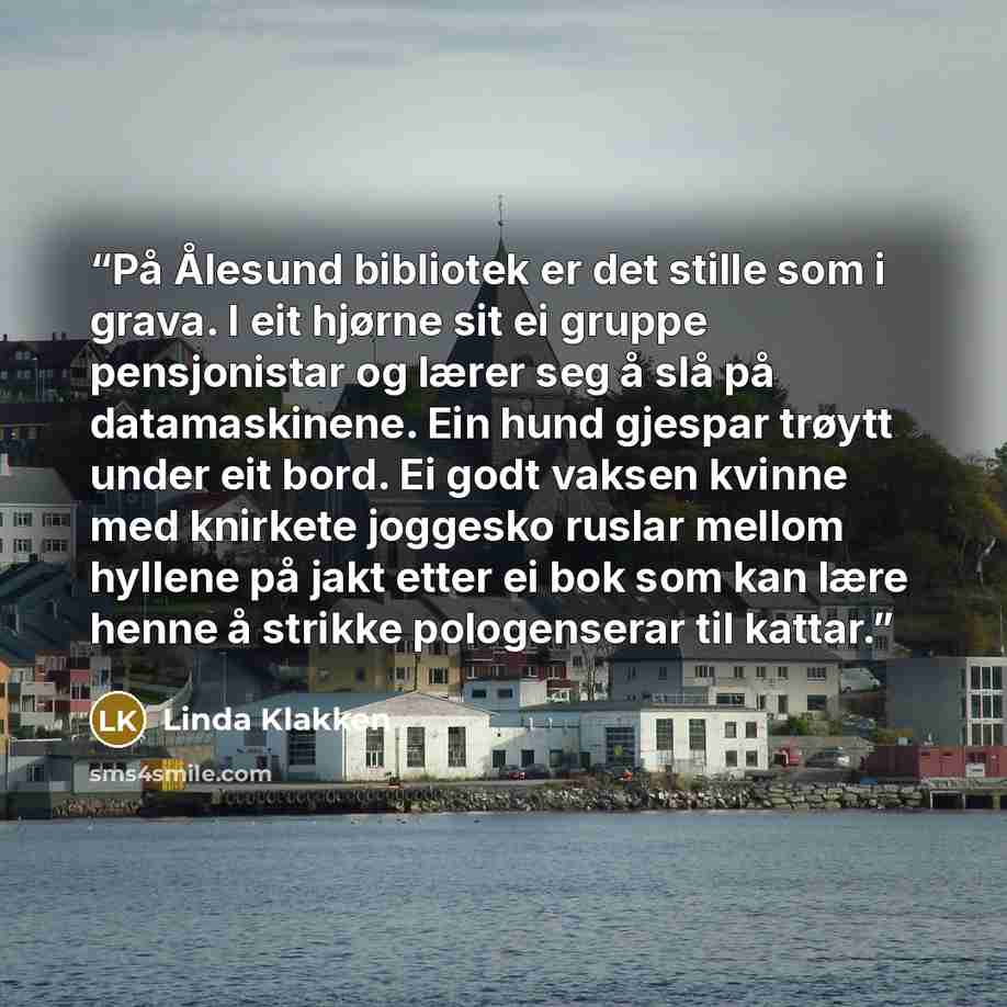 “På Ålesund bibliotek er det stille som i grava. I eit hjørne sit ei gruppe pensjonistar og lærer seg å slå på datamaskinene. Ein hund gjespar trøytt under eit bord. Ei godt vaksen kvinne med knirkete joggesko ruslar mellom hyllene på jakt etter ei bok som kan lære henne å strikke pologenserar til…” quote by Linda Klakken