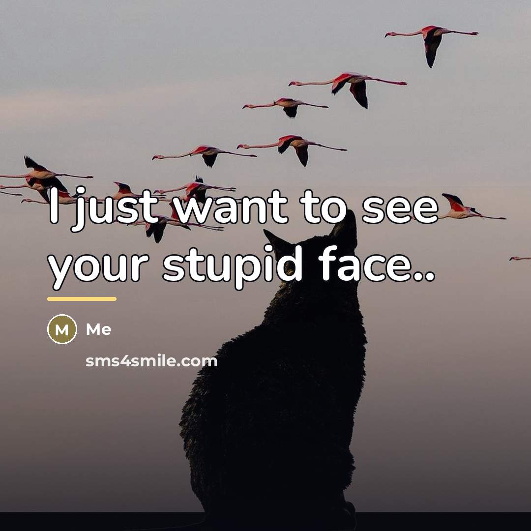 “I just want to see your stupid face..…” quote by Me