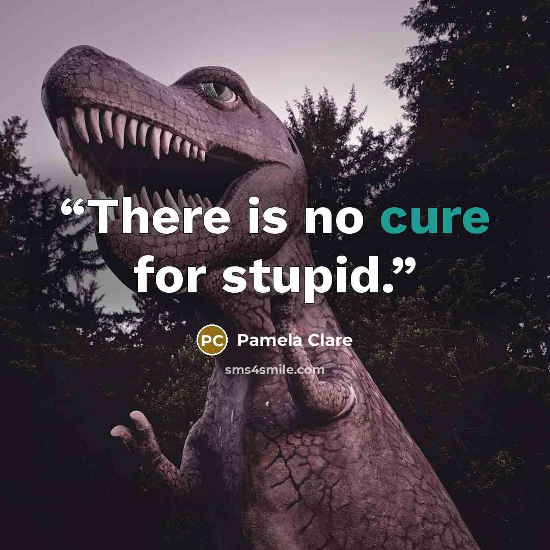 “There is no cure for stupid.” quote by Pamela Clare