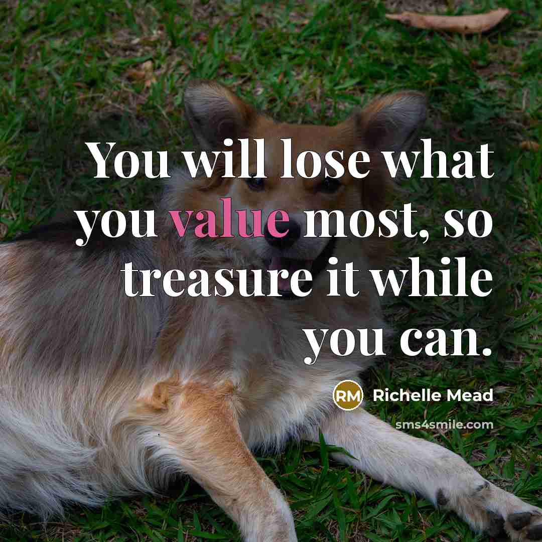 “You will lose what you value most, so treasure it…” quote by Richelle Mead