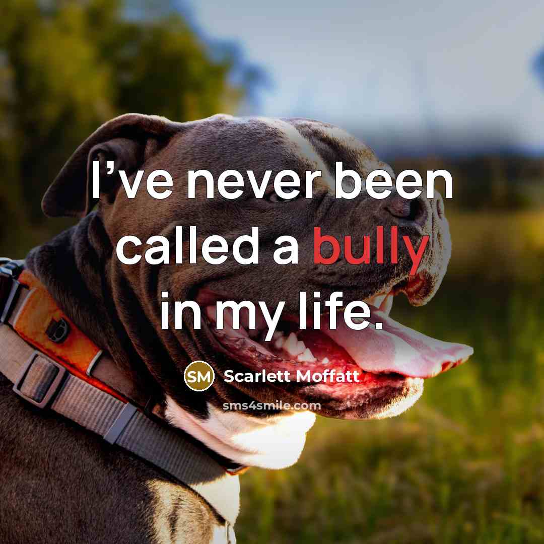 “I've never been called a bully in my life.…” quote by Scarlett Moffatt