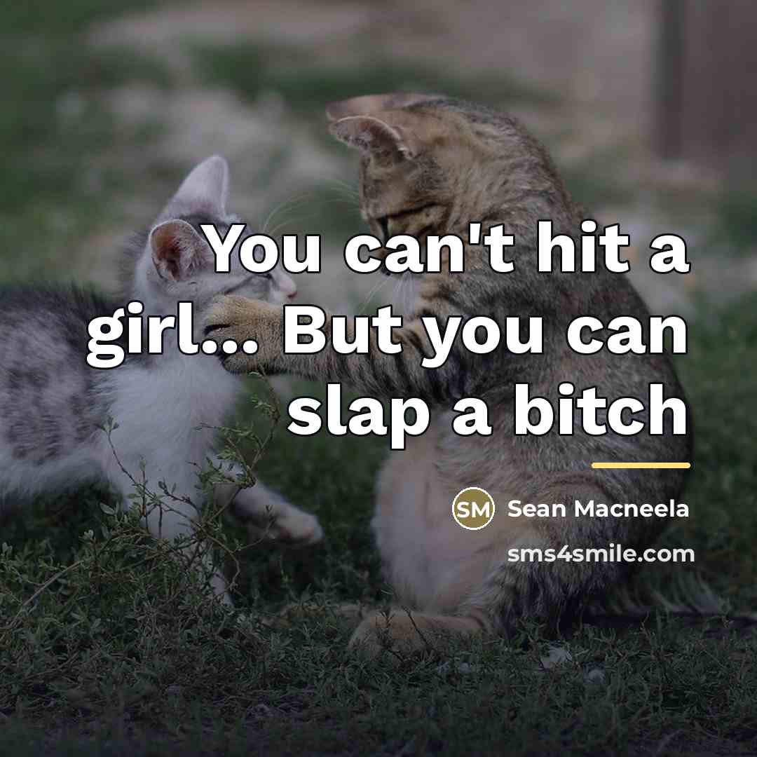 “You can't hit a girl... But you can slap a…” quote by Sean Macneela