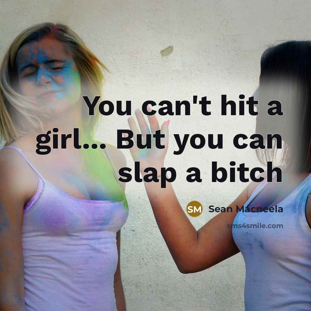“You can't hit a girl... But you can slap a bitch” quote by Sean Macneela