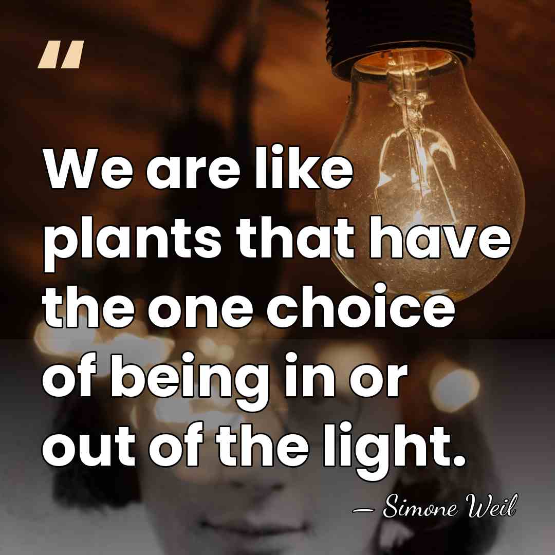We are like plants that have the one choice of being in&hellip; - Simone Weil