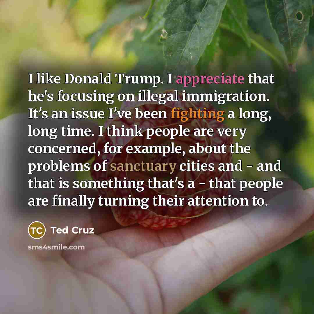 “I like Donald Trump. I appreciate that he's focusing on…” quote by Ted Cruz