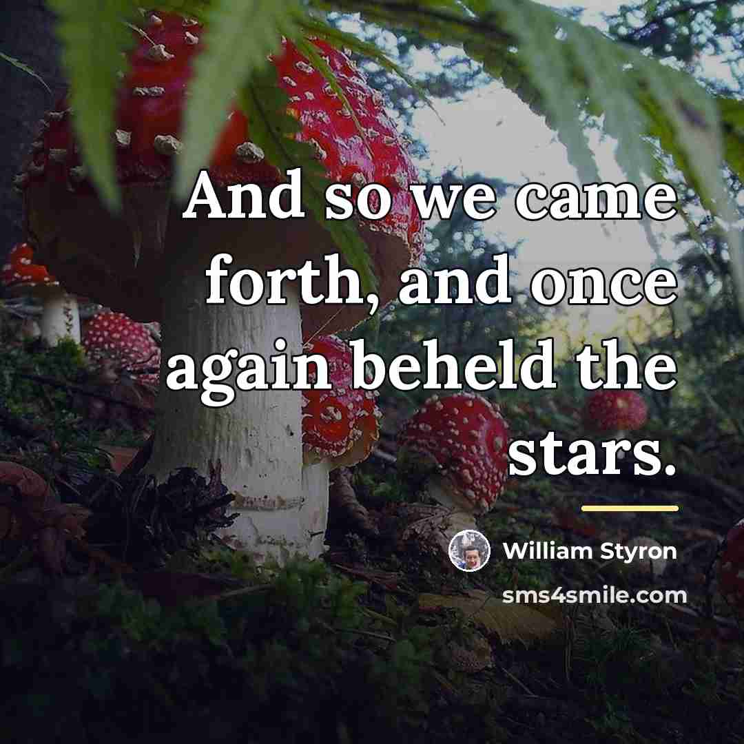“And so we came forth, and once again beheld the…” quote by William Styron