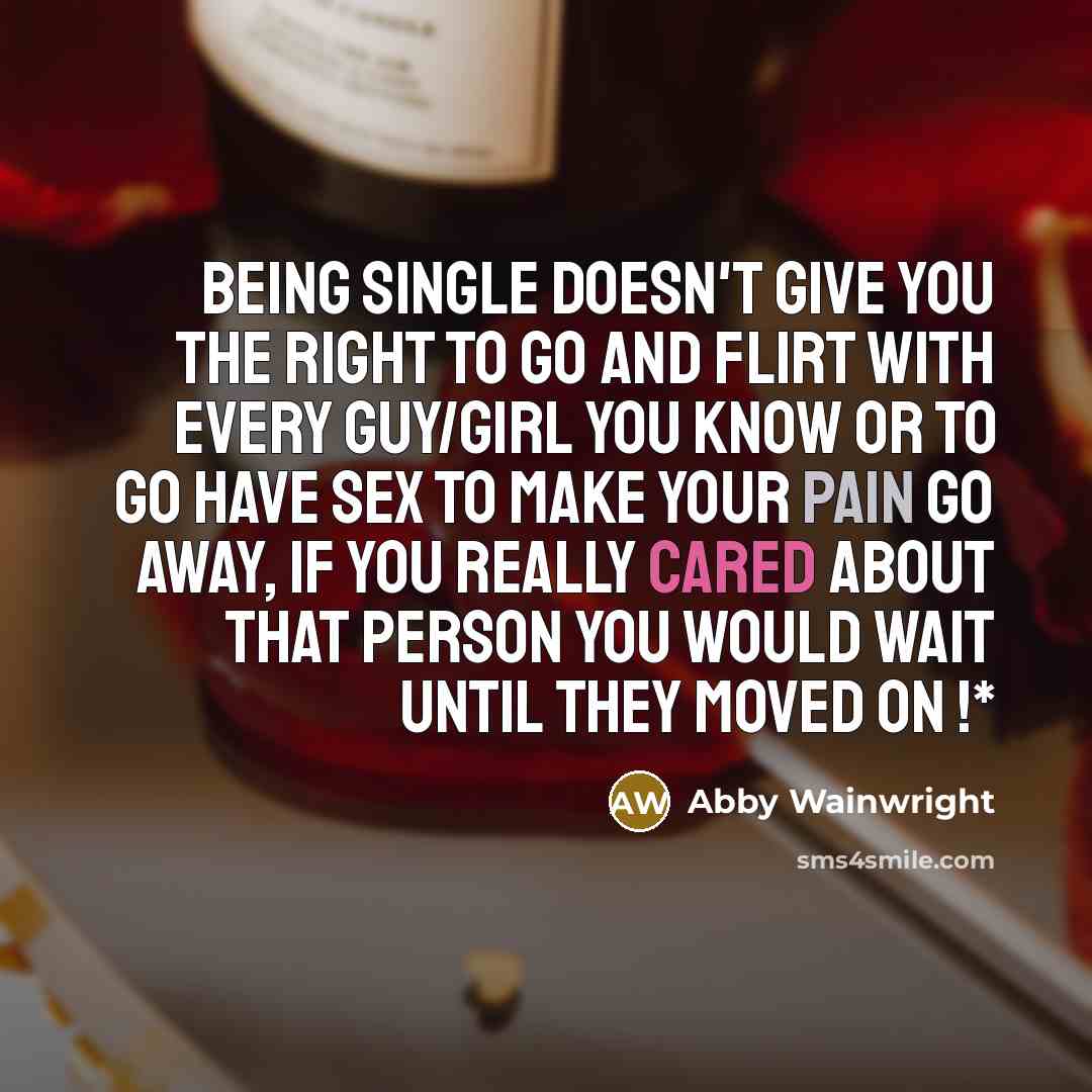 “Being single doesn't give you the right to go and flirt with every guy/girl you know or to go have sex to make your pain go away, if you really cared about that person you would wait until they moved on !*” quote by Abby Wainwright