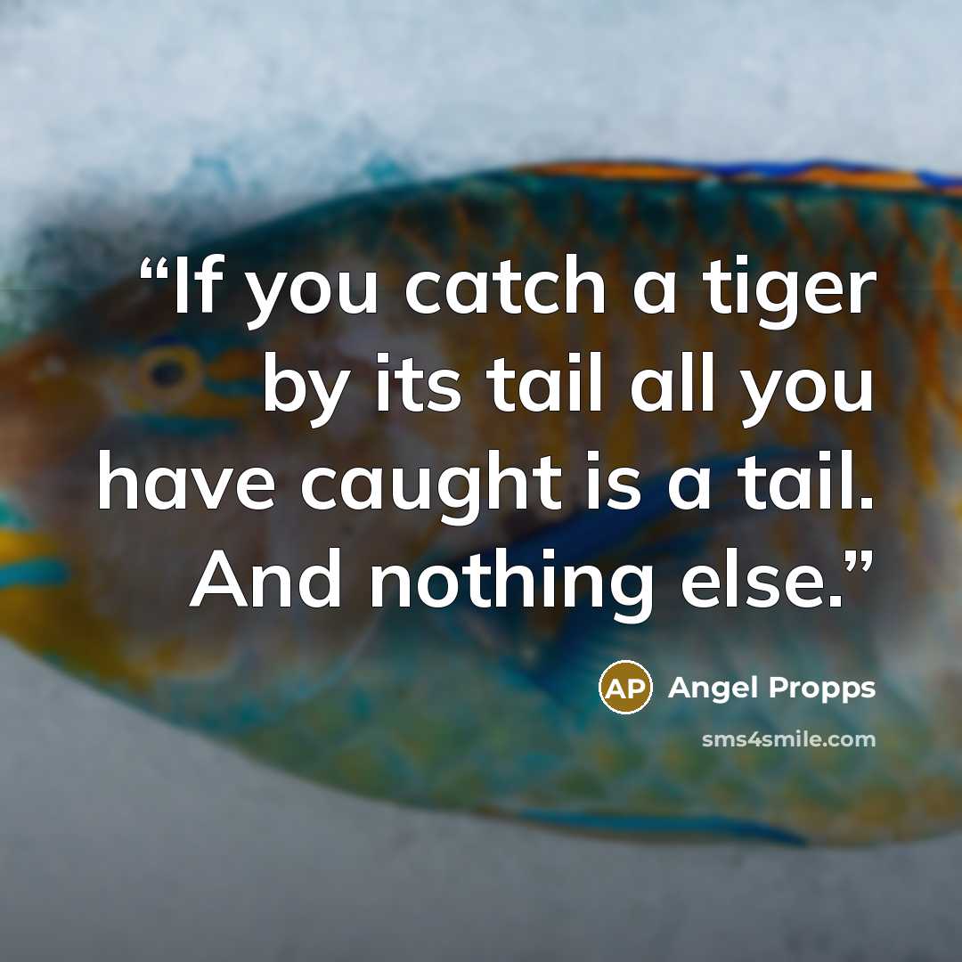 “If you catch a tiger by its tail all you have caught is a tail. And nothing else.” quote by Angel Propps