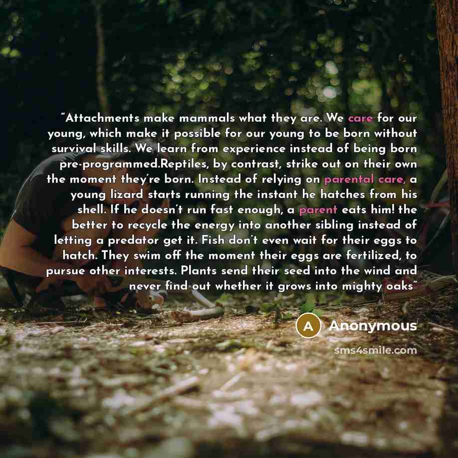 “Attachments make mammals what they are. We care for our young, which make it possible for our young to be born without survival skills. We learn from experience instead of being born pre-programmed.Reptiles, by contrast, strike out on their own the moment they’re born. Instead of relying on…” quote by Anonymous