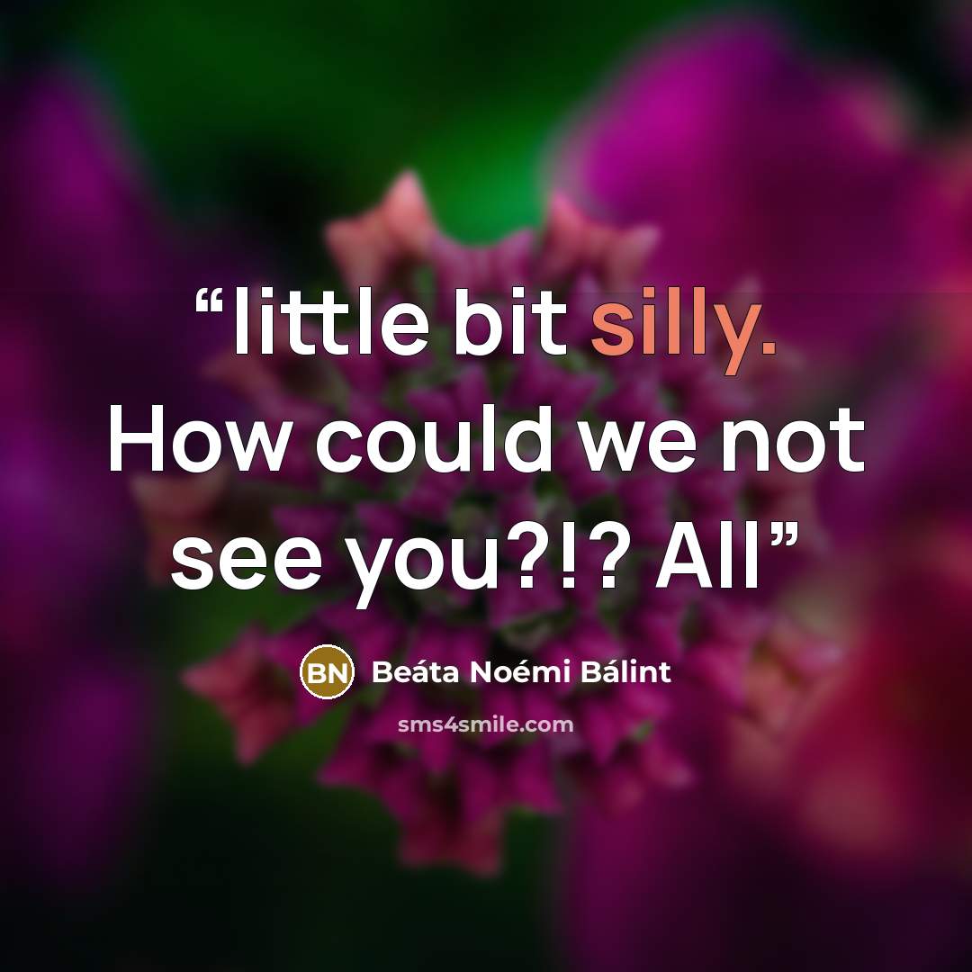 “little bit silly. How could we not see you?!? All” quote by Beáta Noémi Bálint