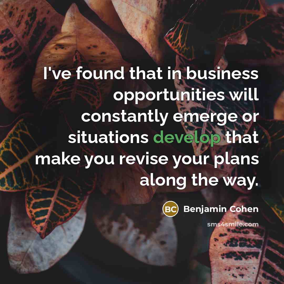 “I've found that in business opportunities will constantly emerge or…” quote by Benjamin Cohen