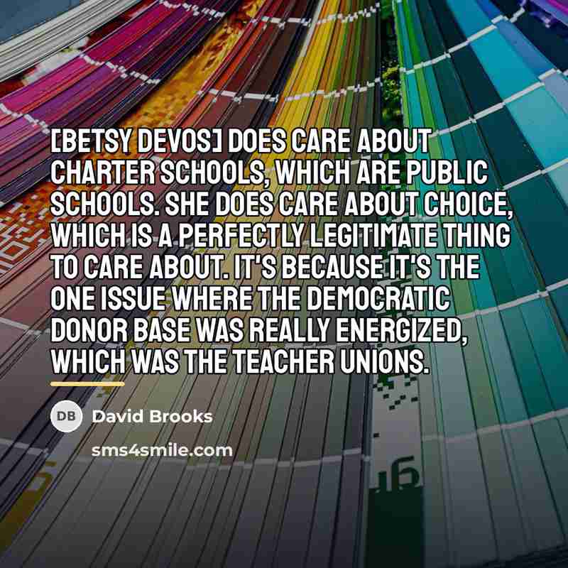 “[Betsy DeVos] does care about charter schools, which are public…” quote by David Brooks