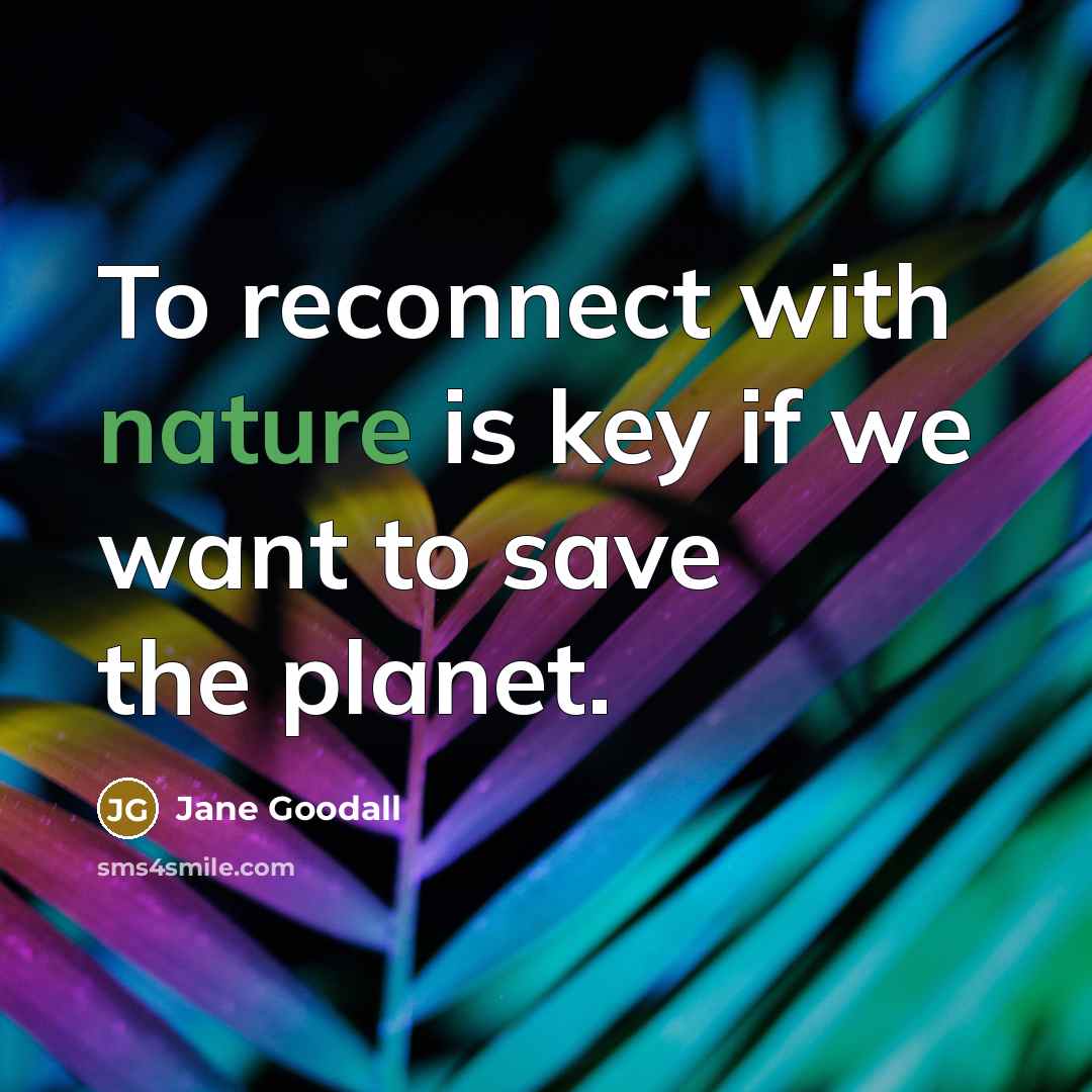 “To reconnect with nature is key if we want to…” quote by Jane Goodall