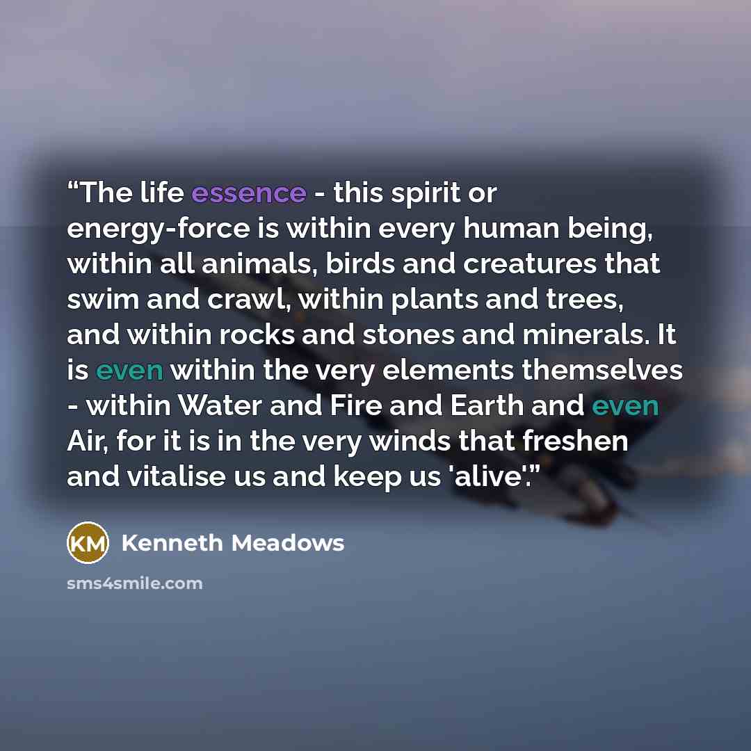 “The life essence - this spirit or energy-force is within every human being, within all animals, birds and creatures that swim and crawl, within plants and trees, and within rocks and stones and minerals. It is even within the very elements themselves - within Water and Fire and Earth and even Air…” quote by Kenneth Meadows
