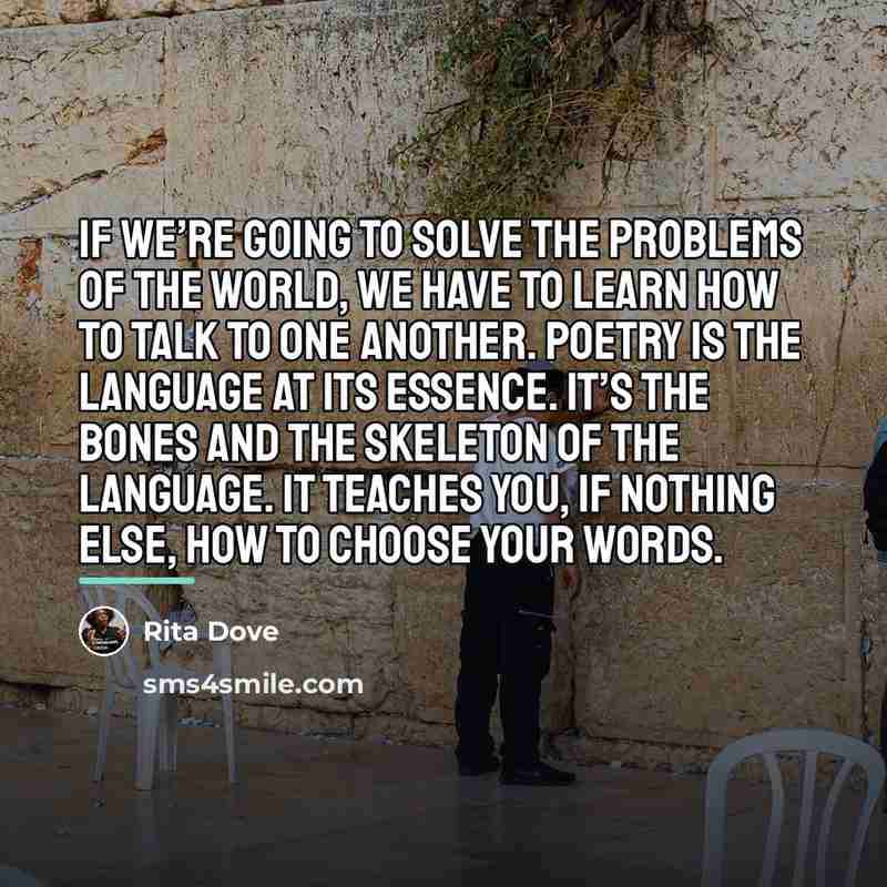 “If we’re going to solve the problems of the world,…” quote by Rita Dove