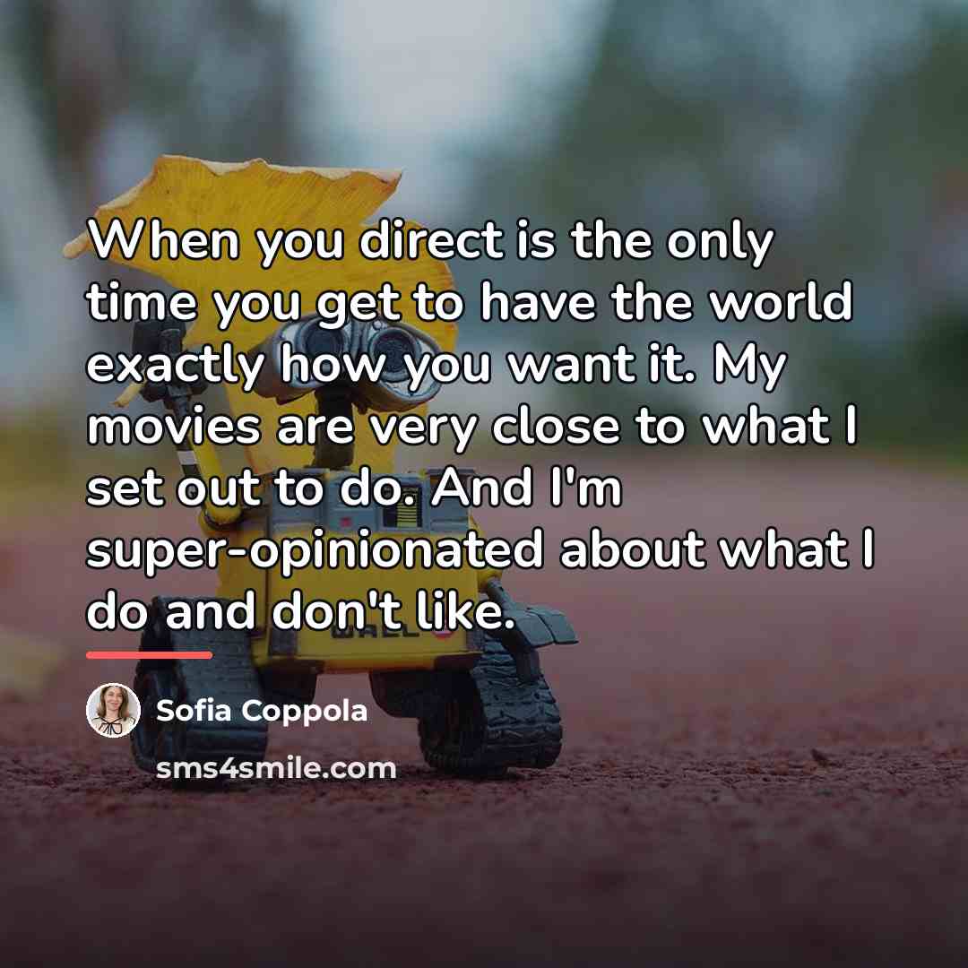 “When you direct is the only time you get to…” quote by Sofia Coppola
