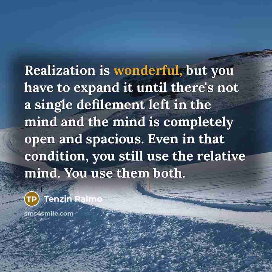 “Realization is wonderful, but you have to expand it until…” quote by Tenzin Palmo