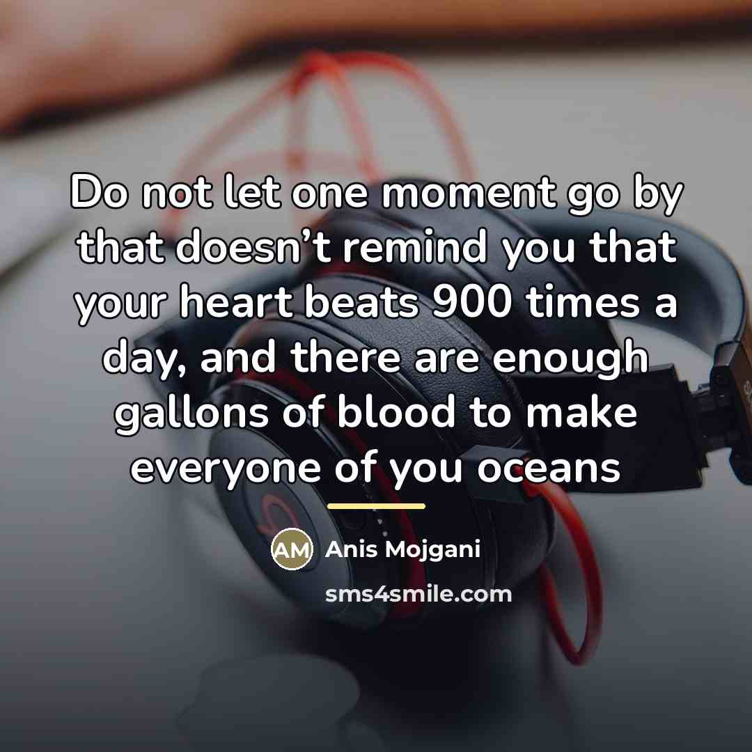 “Do not let one moment go by that doesn’t remind…” quote by Anis Mojgani