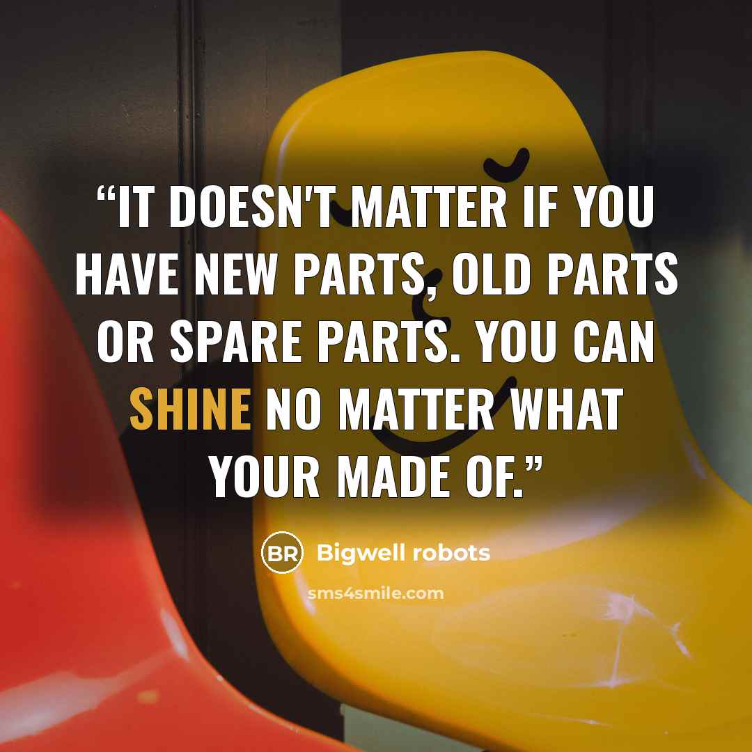 “It doesn't matter if you have new parts, old parts or spare parts. You can shine no matter what your made of.” quote by Bigwell robots