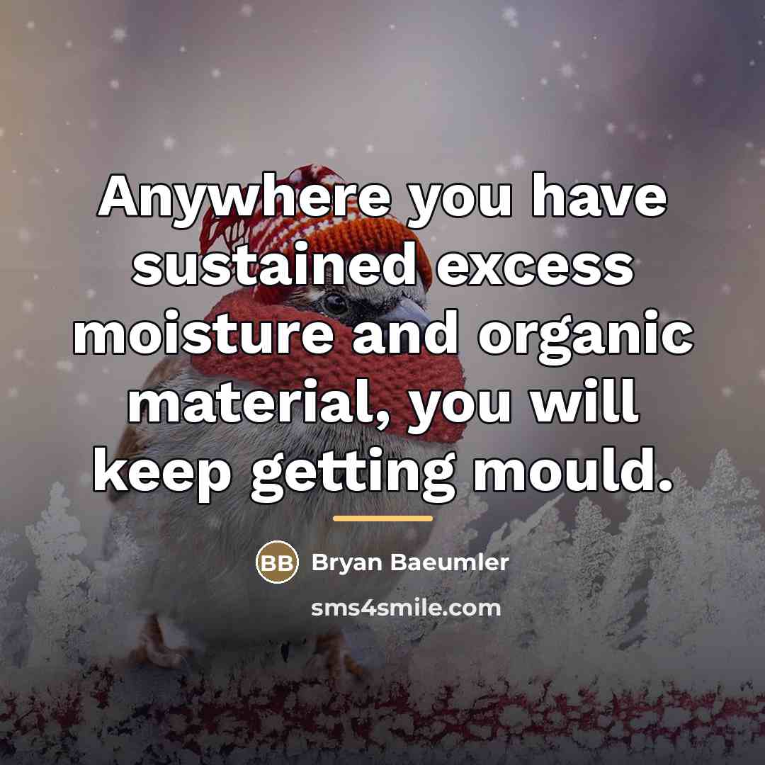 “Anywhere you have sustained excess moisture and organic material, you…” quote by Bryan Baeumler