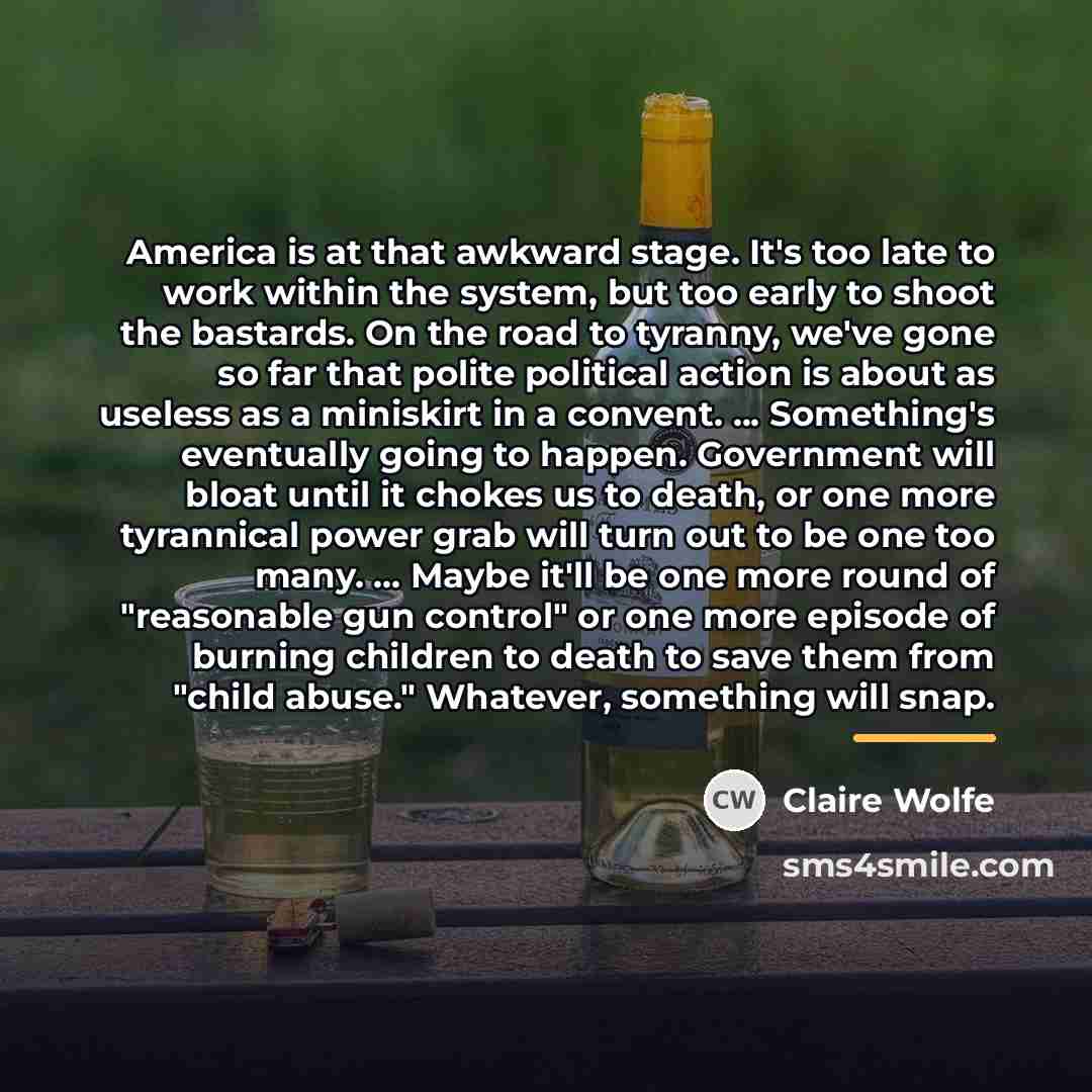 “America is at that awkward stage. It's too late to…” quote by Claire Wolfe