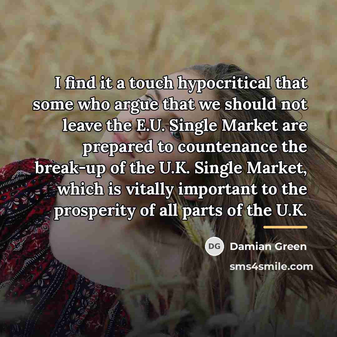 “I find it a touch hypocritical that some who argue…” quote by Damian Green