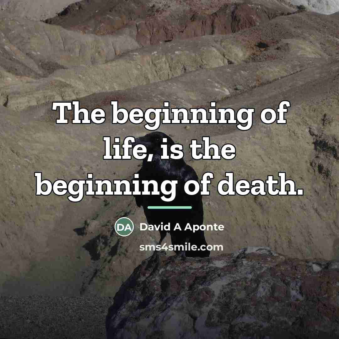 “The beginning of life, is the beginning of death.…” quote by David A Aponte