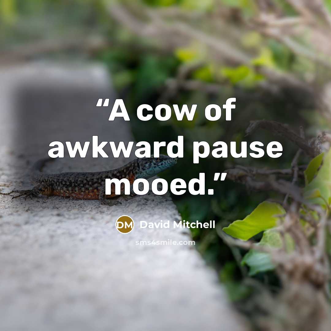 “A cow of awkward pause mooed.” quote by David Mitchell