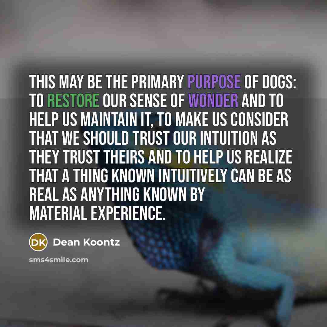 “This may be the primary purpose of dogs: to restore our sense of wonder and to help us maintain it, to make us consider that we should trust our intuition as they trust theirs and to help us realize that a thing known intuitively can be as real as anything known by material experience.” quote by Dean Koontz