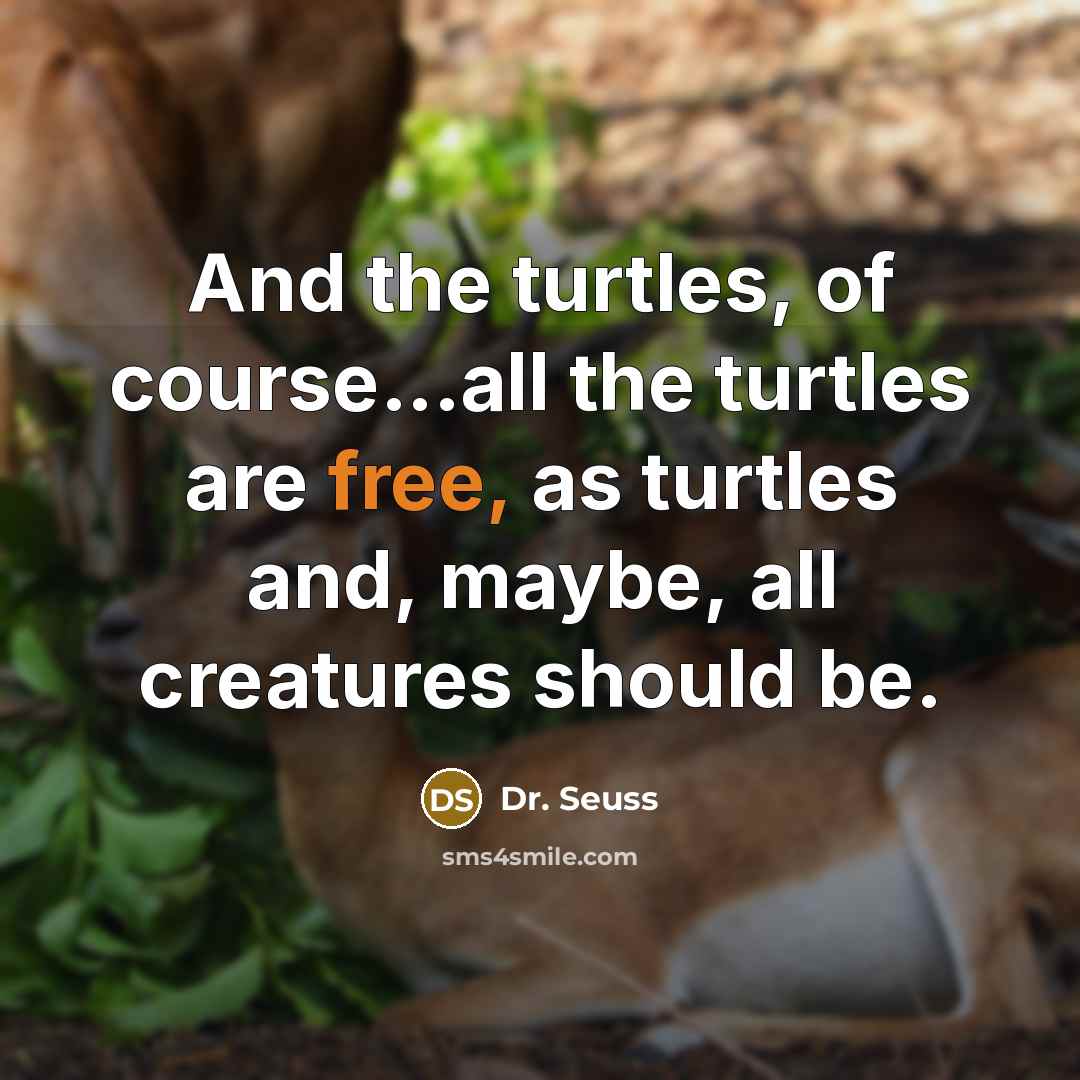 “And the turtles, of course...all the turtles are free, as…” quote by Dr. Seuss