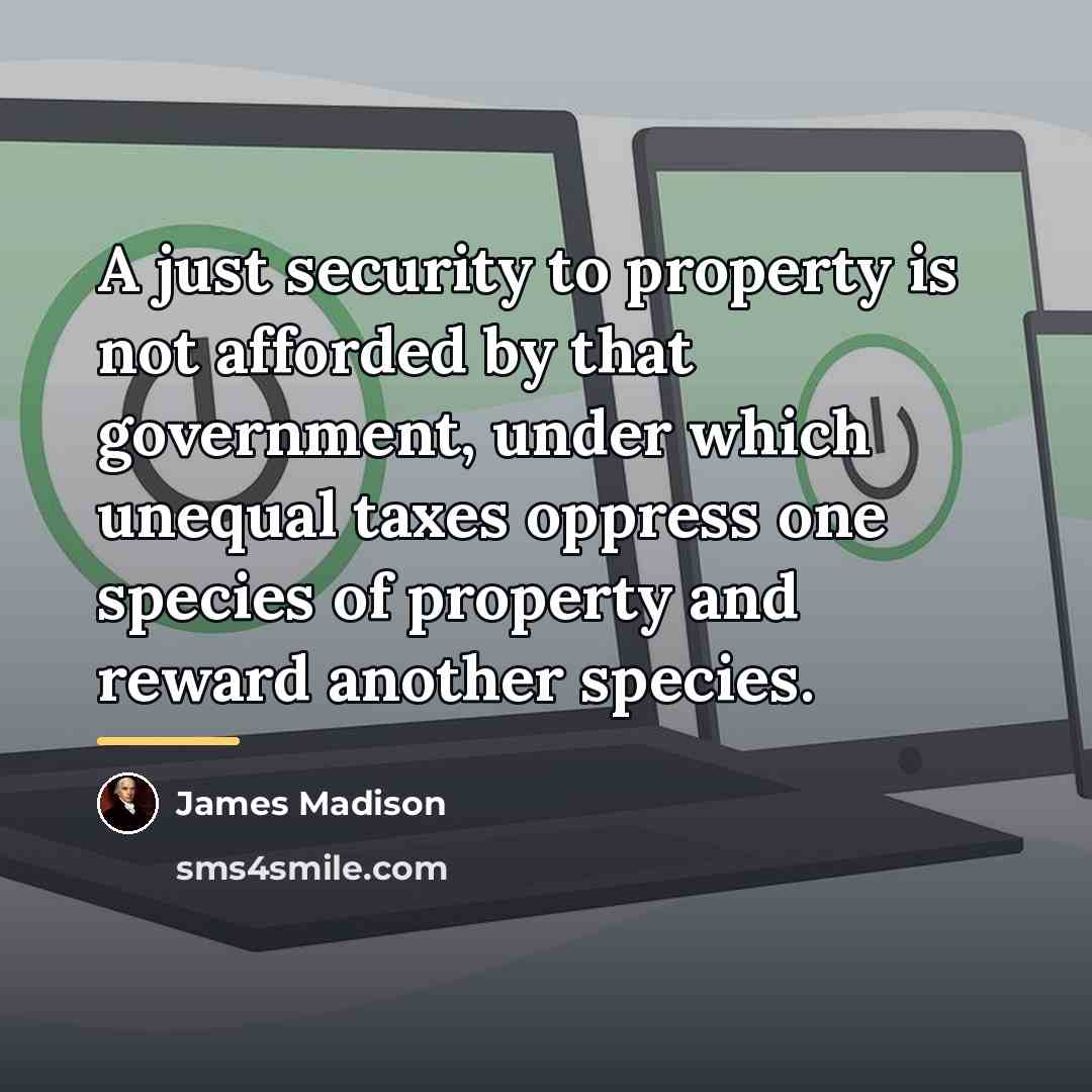 “A just security to property is not afforded by that…” quote by James Madison
