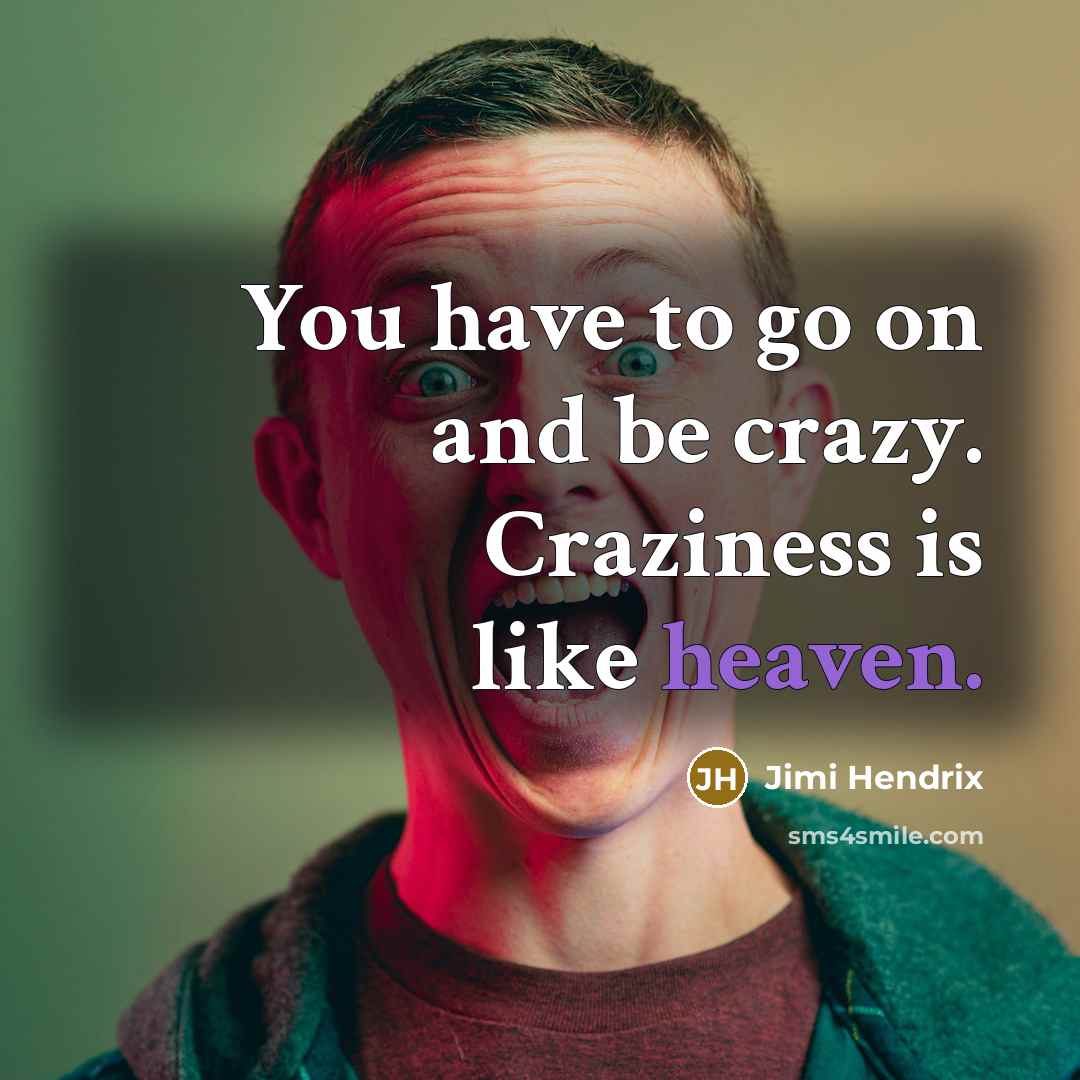 “You have to go on and be crazy. Craziness is…” quote by Jimi Hendrix