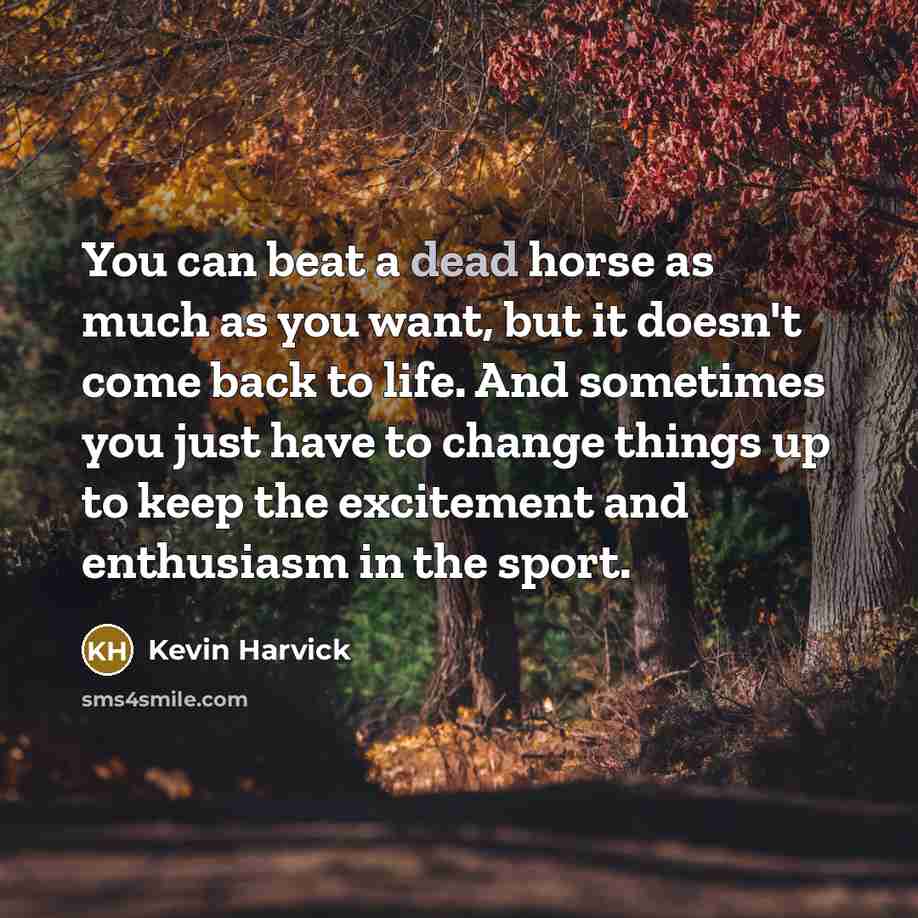 “You can beat a dead horse as much as you…” quote by Kevin Harvick