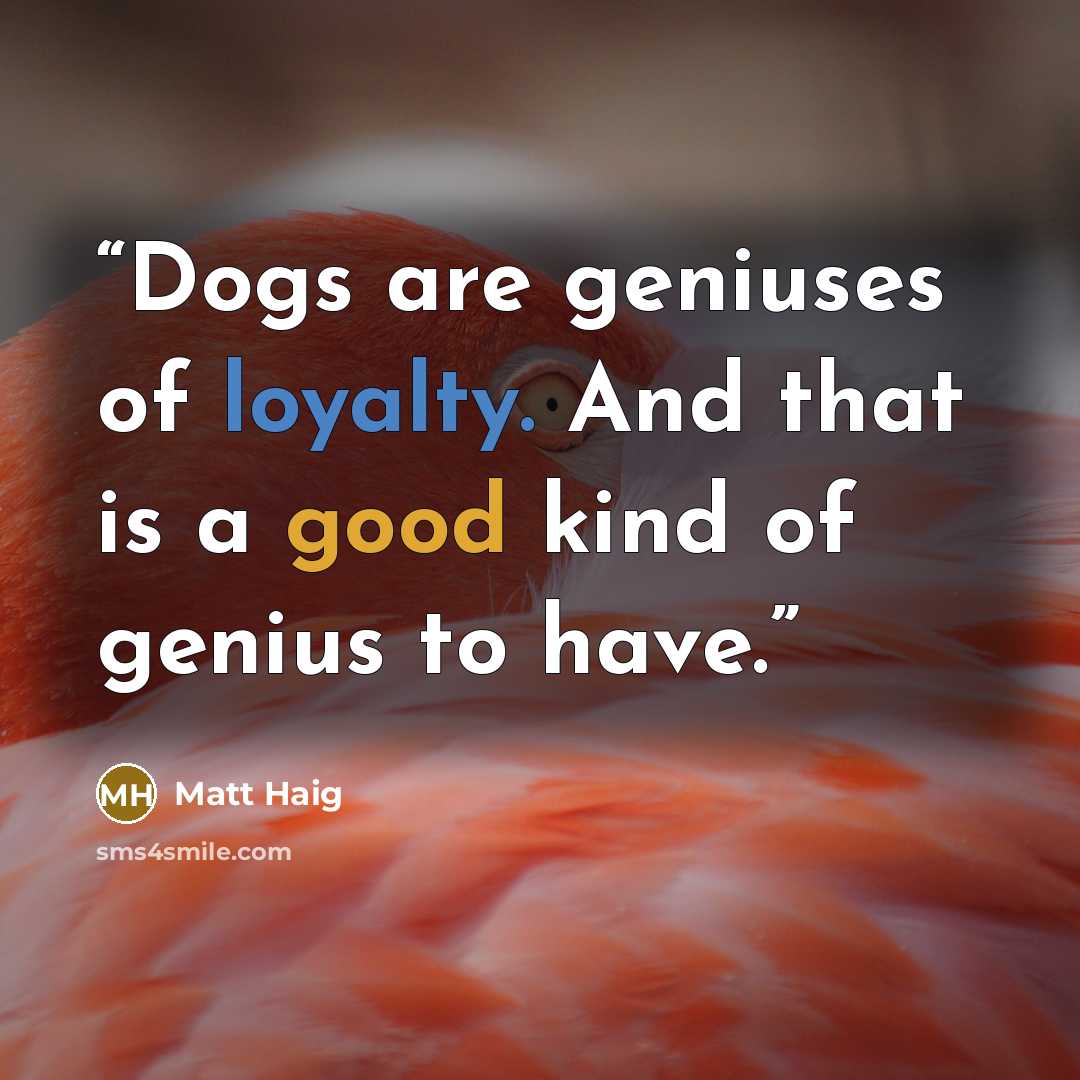 “Dogs are geniuses of loyalty. And that is a good kind of genius to have.” quote by Matt Haig