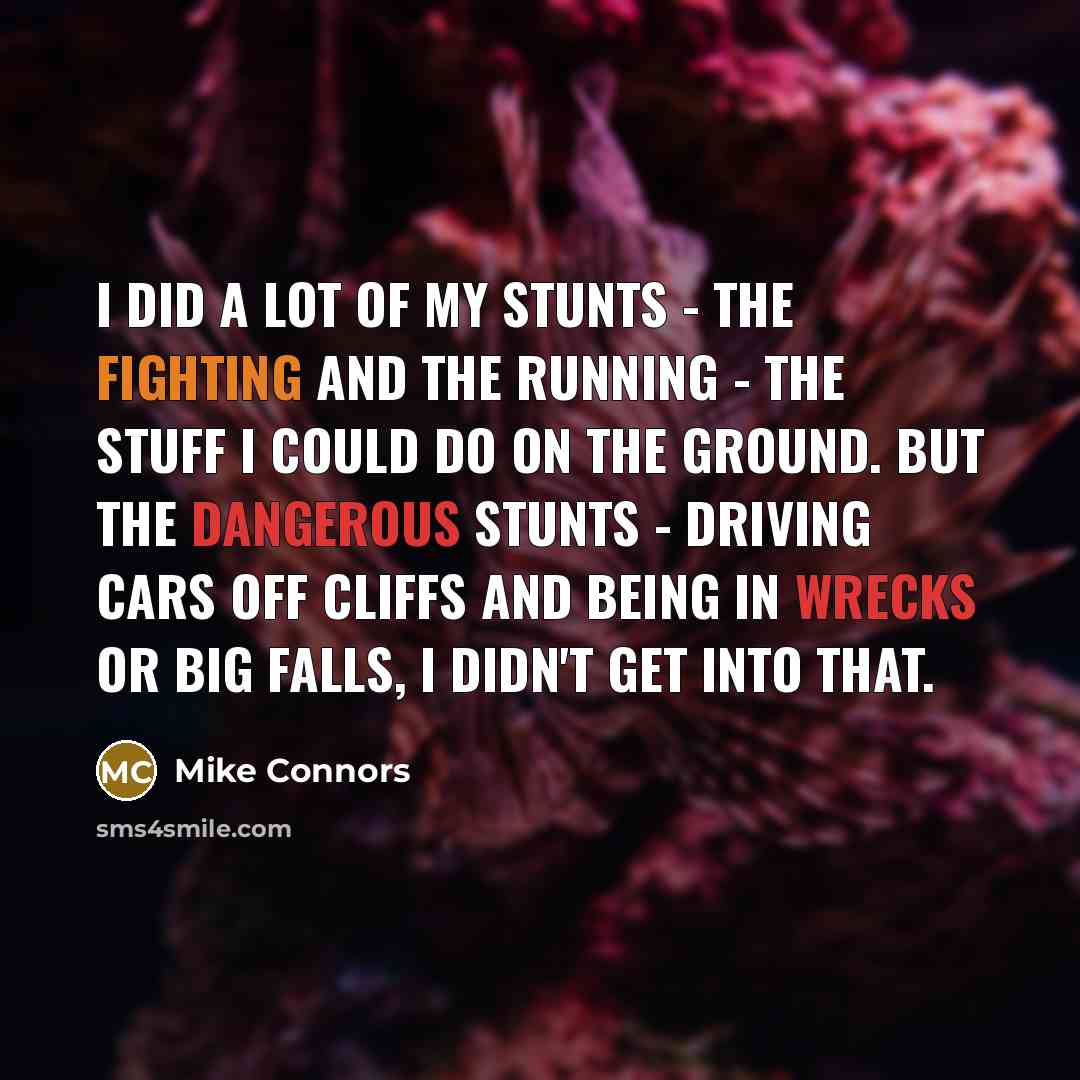 “I did a lot of my stunts - the fighting…” quote by Mike Connors