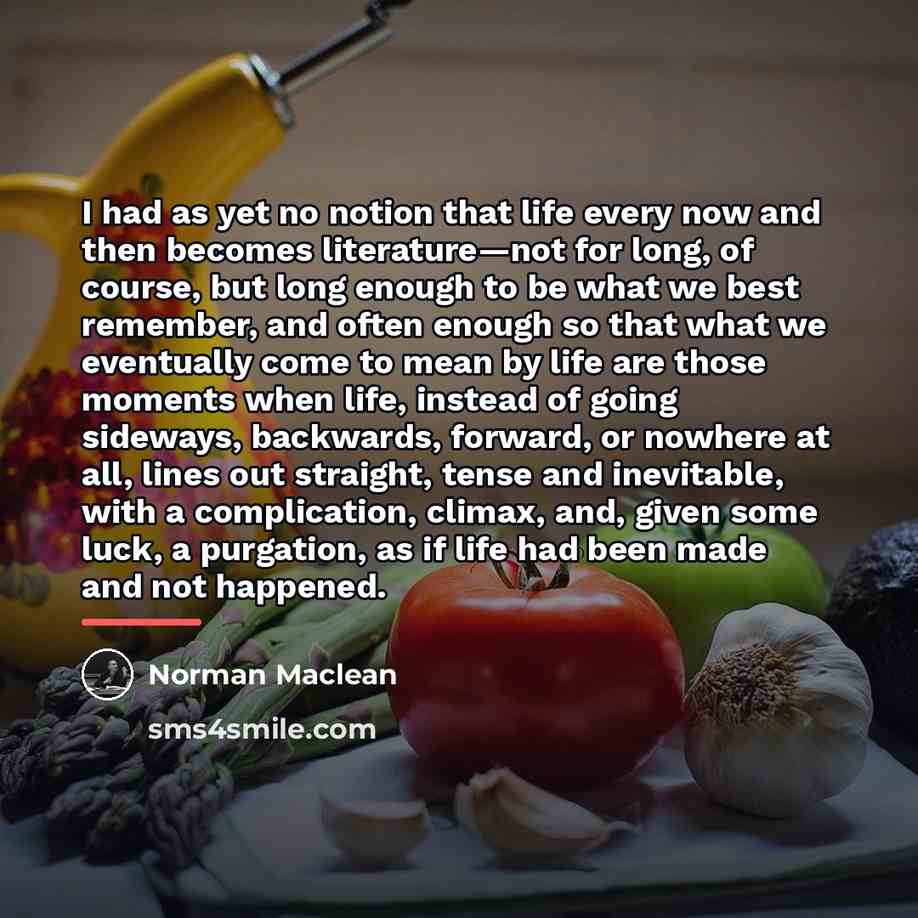 “I had as yet no notion that life every now…” quote by Norman Maclean