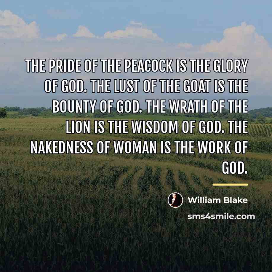 “The pride of the peacock is the glory of God.…” quote by William Blake