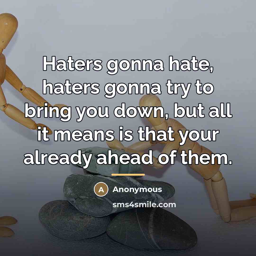 “Haters gonna hate, haters gonna try to bring you down,…” quote by Anonymous