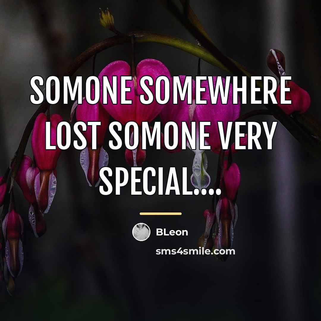 “Somone somewhere lost somone very special....…” quote by BLeon