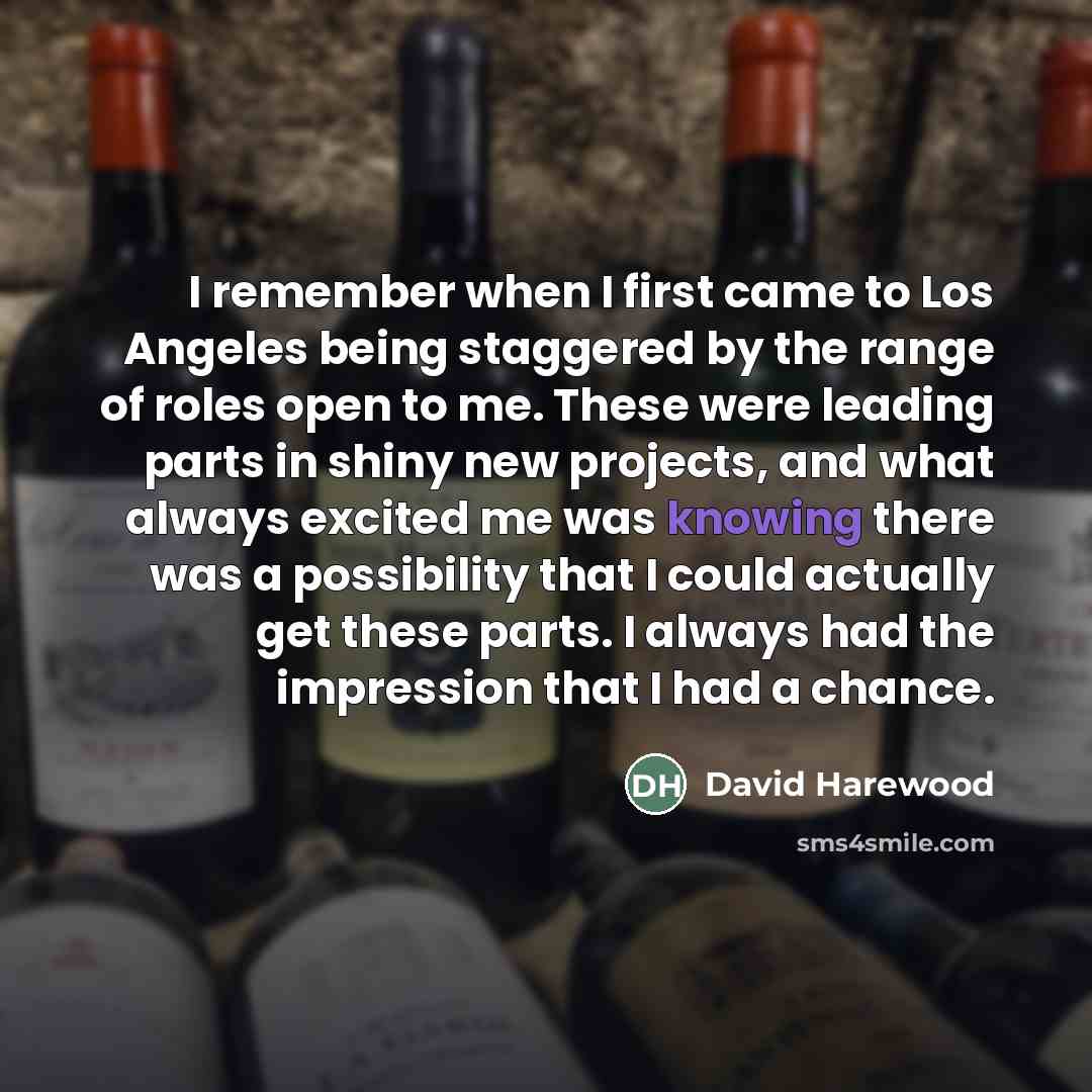 “I remember when I first came to Los Angeles being…” quote by David Harewood