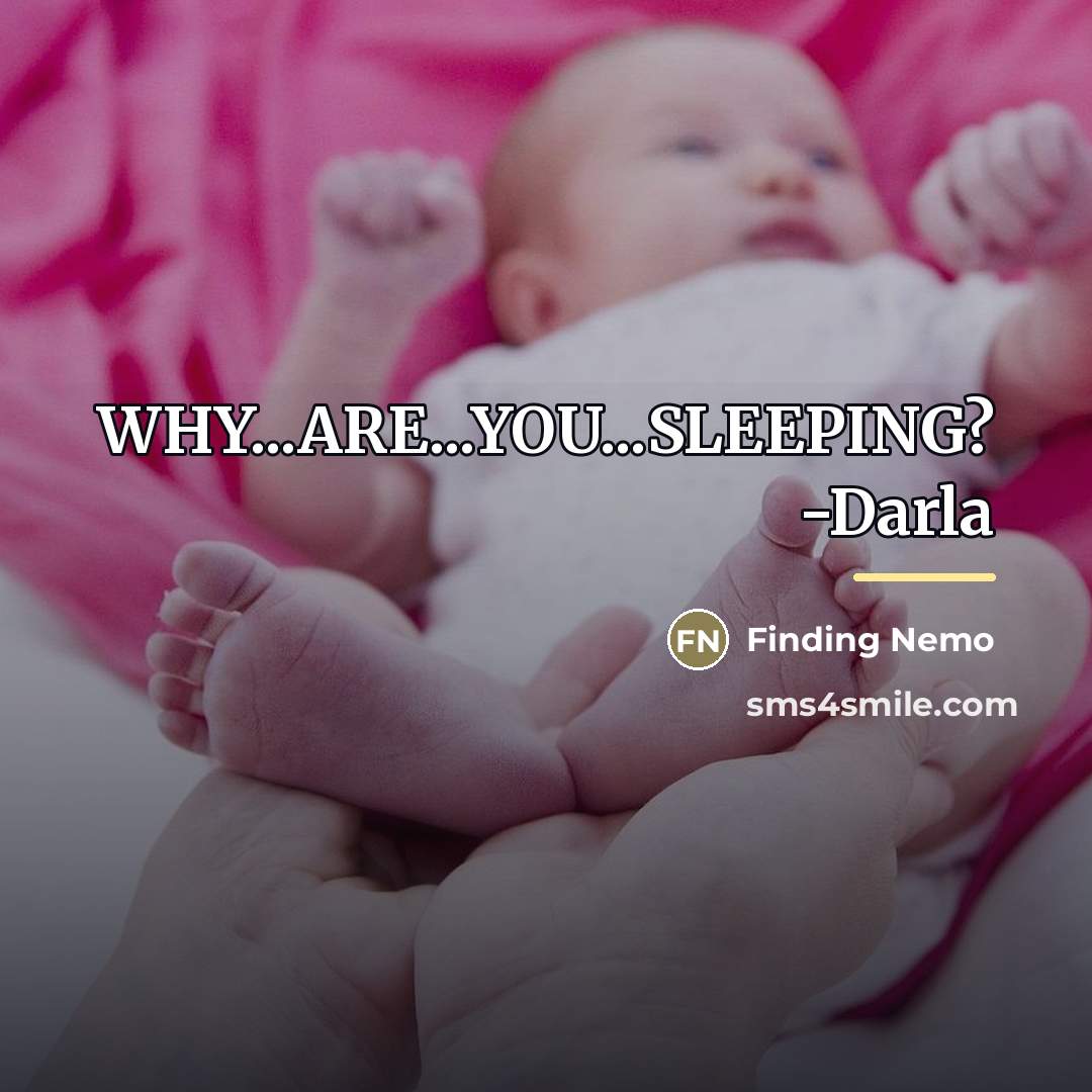 “WHY...ARE...YOU...SLEEPING? -Darla…” quote by Finding Nemo