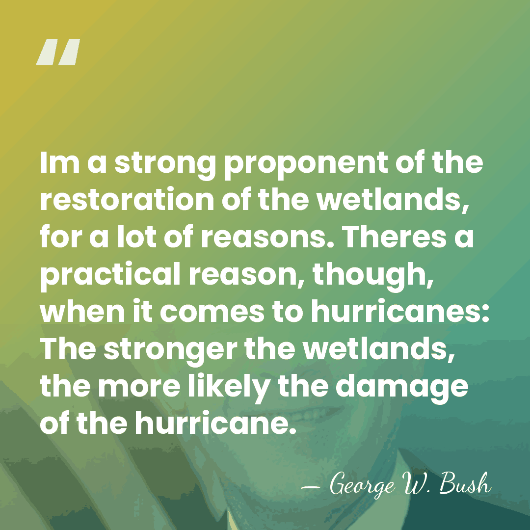 Im a strong proponent of the restoration of the wetlands, for a&hellip; - George W. Bush