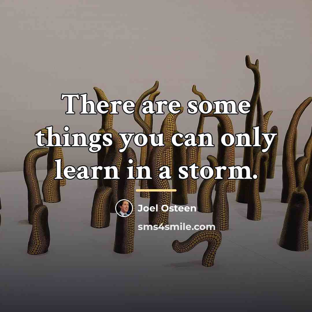 “There are some things you can only learn in a…” quote by Joel Osteen