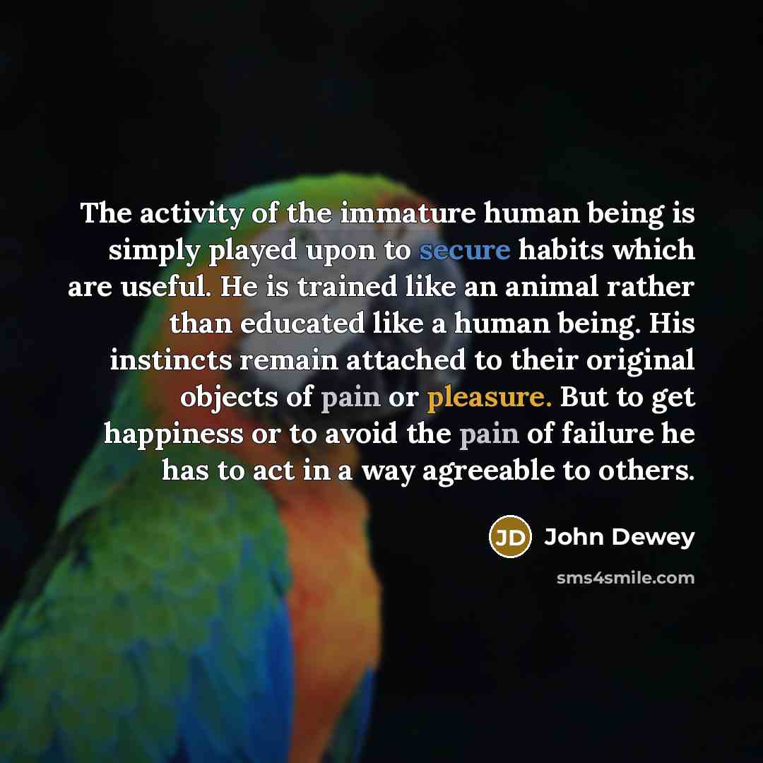 “The activity of the immature human being is simply played…” quote by John Dewey