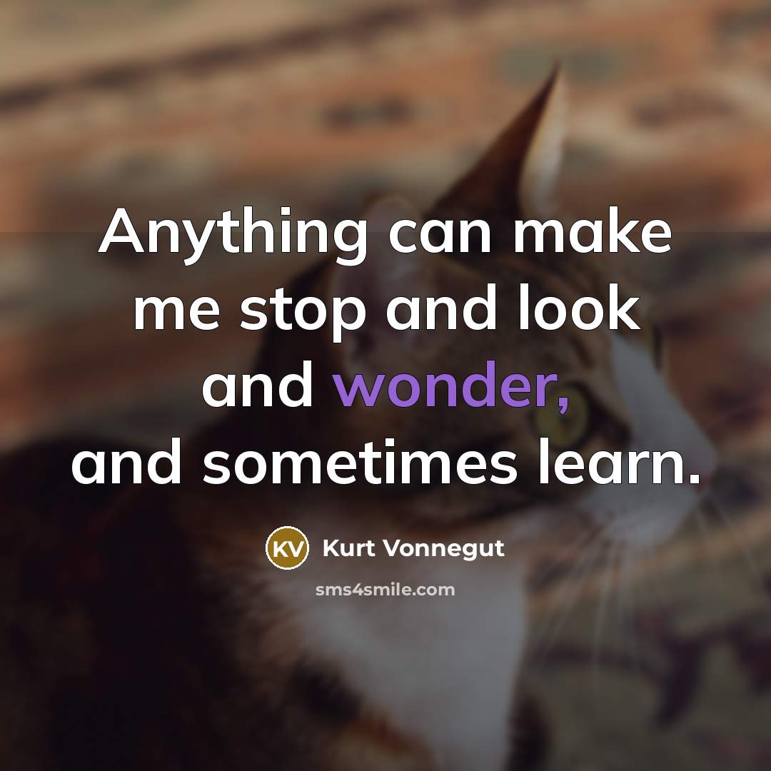 “Anything can make me stop and look and wonder, and…” quote by Kurt Vonnegut